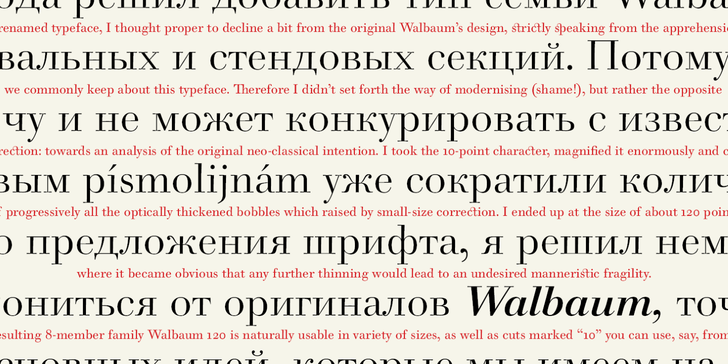 Walbaum 2010 Pro 10 Pro Font preview